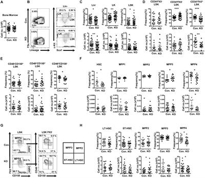 Deficiency of Rbpj Leads to Defective Stress-Induced Hematopoietic Stem Cell Functions and Hif Mediated Activation of Non-canonical Notch Signaling Pathways